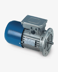 Electric motors and Brake electric <nobr>motors T-M</nobr>