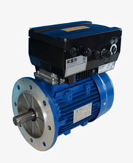 Electronic speed variators ESV